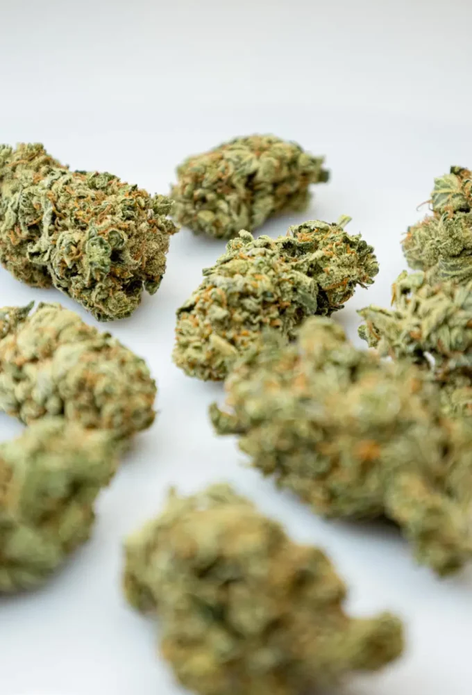 Clubs y Asociaciones de Cannabis Córdoba