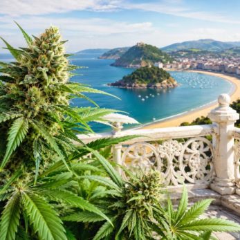 Clubs y Asociaciones de Cannabis San Sebastián