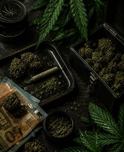 Clubs y Asociaciones de Cannabis en San Sebastián