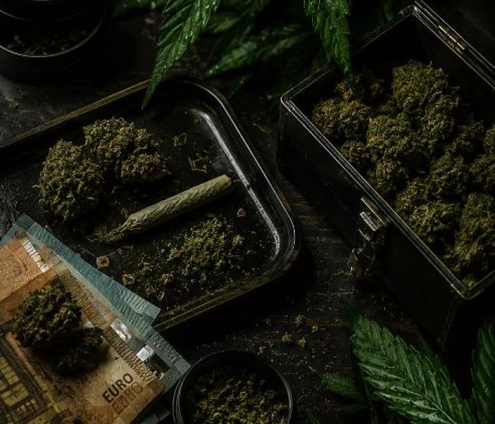 Clubs y Asociaciones de Cannabis en San Sebastián