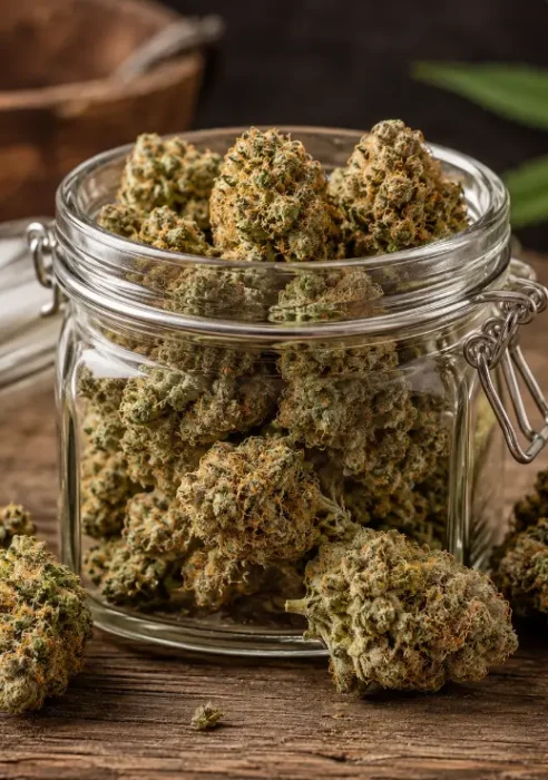 Clubs y Asociaciones de Cannabs en Valladolid