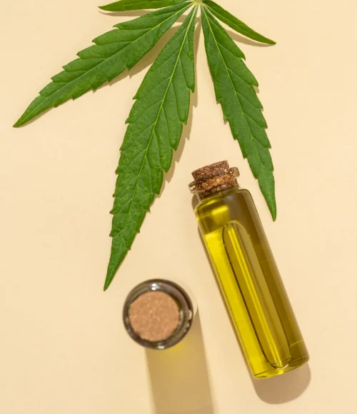 Clubs y Asociaciones de Cannabis Gijón