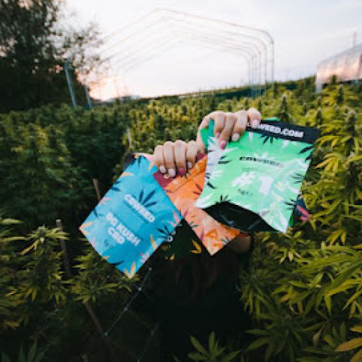 CBWEED CBWEED