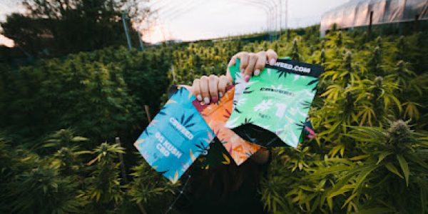 CBWEED CBWEED