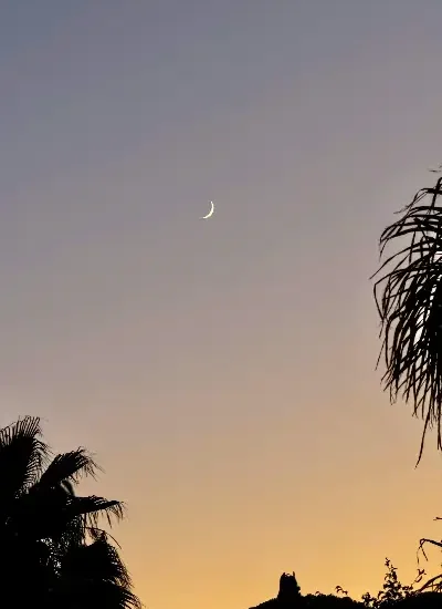 Mapa asociaciones cannábicas