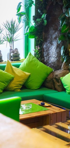 PHOTO-2026-02-01-13-45-31