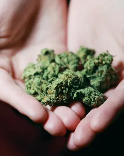 Requisitos para ser miembro