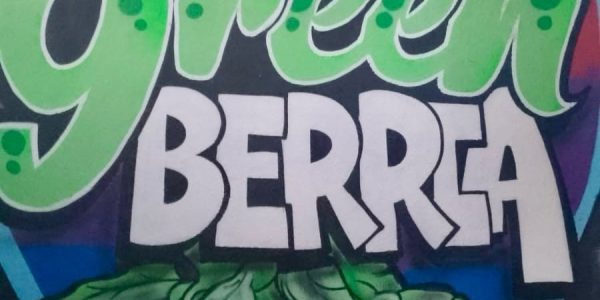 Unknown-8 green-bilbi