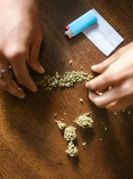 asociacion cannabica sevilla