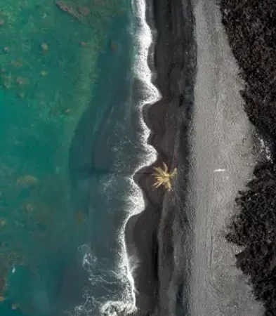 asociacion cannabica tenerife