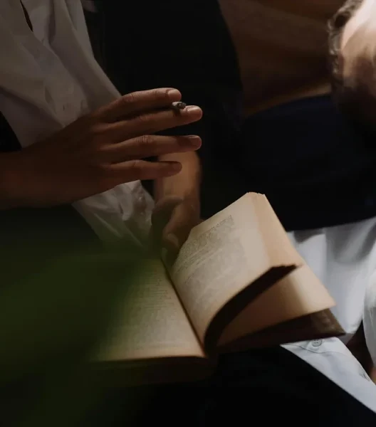 cannabis club in mallorca