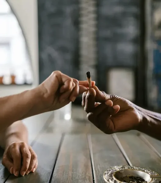 club cannabico en mallorca