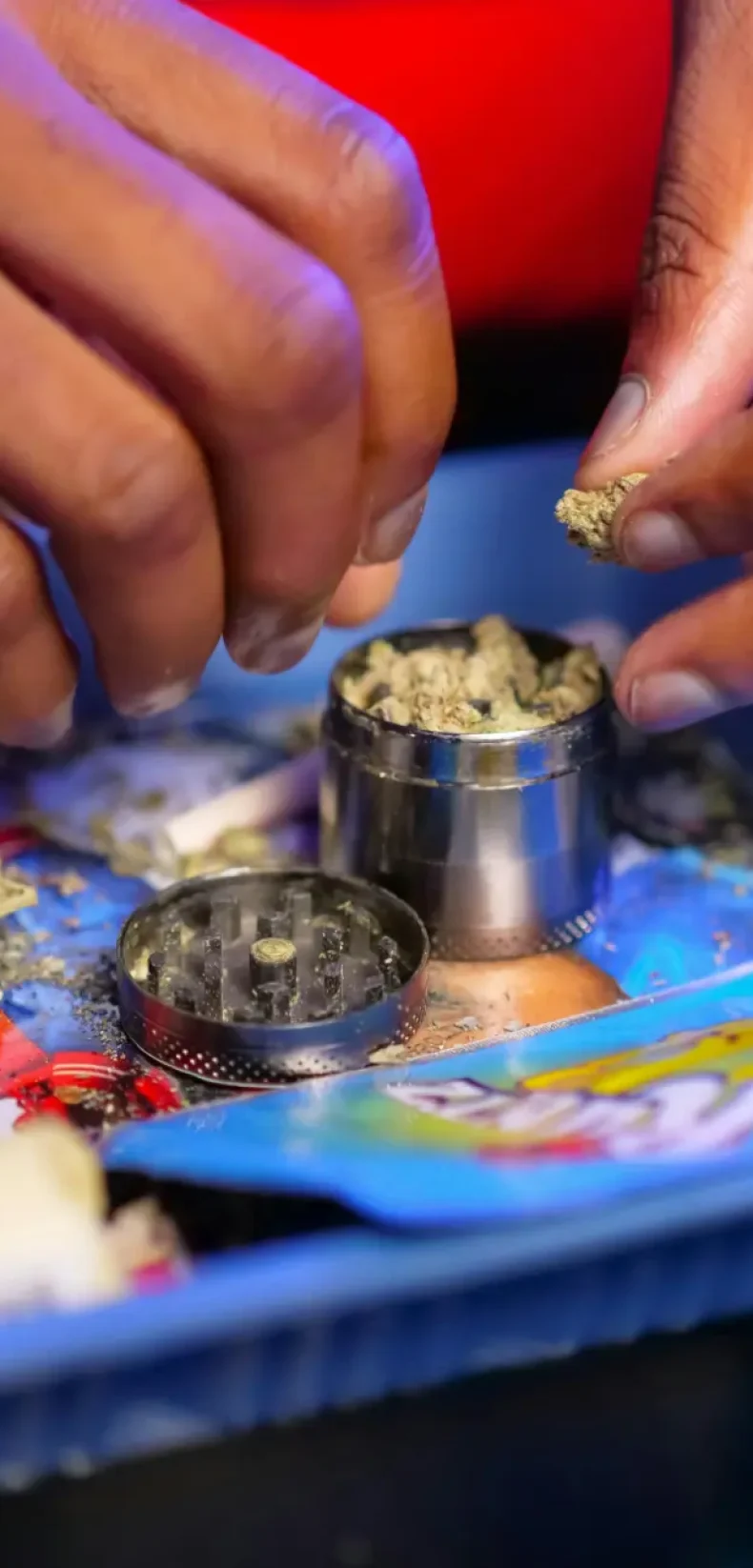 clubs de marihuana murcia