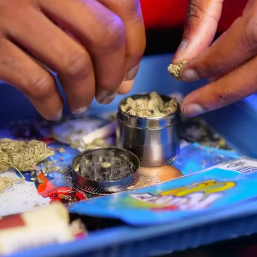 clubs sociales de cannabis las palmas