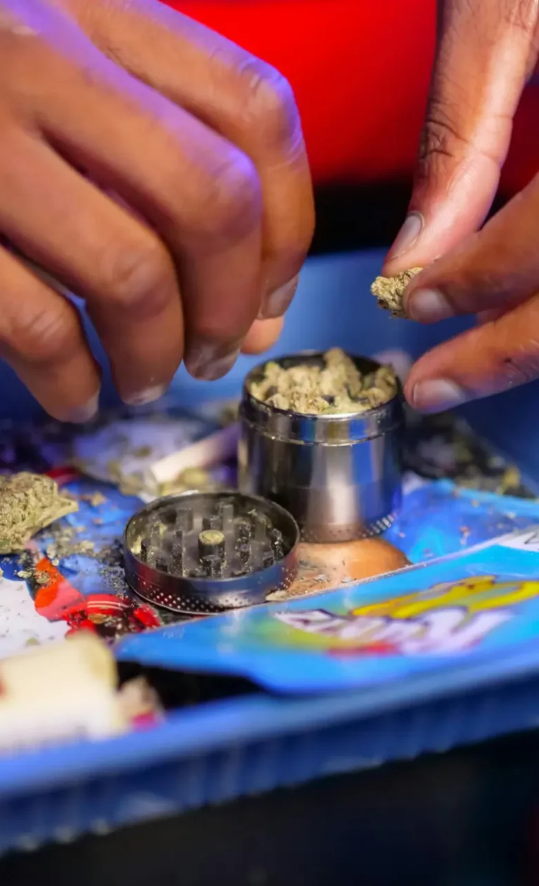 clubs sociales de cannabis las palmas