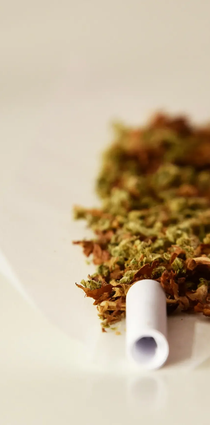 clubs weed las palmas