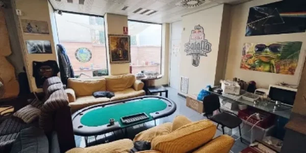 green monkey weed Madrid Weedestiny green monkey weed Madrid Weedestiny