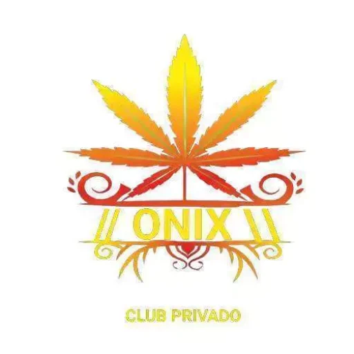 logoXL logoXL