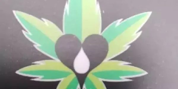 logoXL
