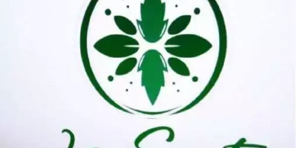 logoXL logoXL