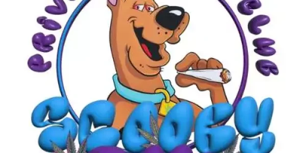 logoXL