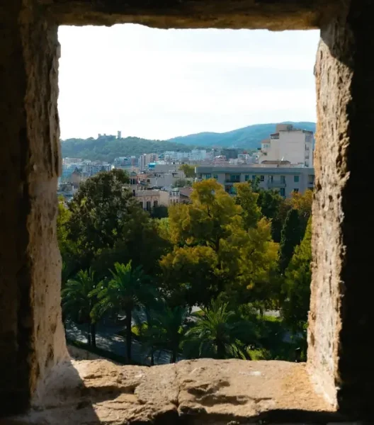 mallorca asociación club fumadores