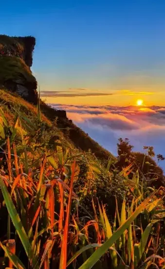 tenerife best weed clubs