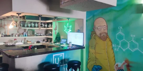 uluwatu weed Madrid Weedestiny uluwatu weed Madrid Weedestiny