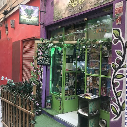 GreenDragonGrow GreenDragonGrow