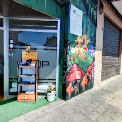 MM GUANA SILLA VALENCIA