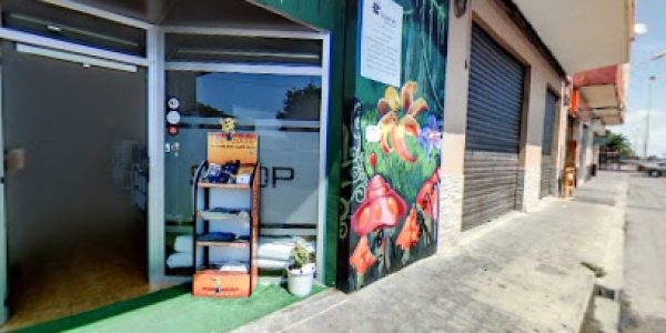 MM GUANA SILLA VALENCIA