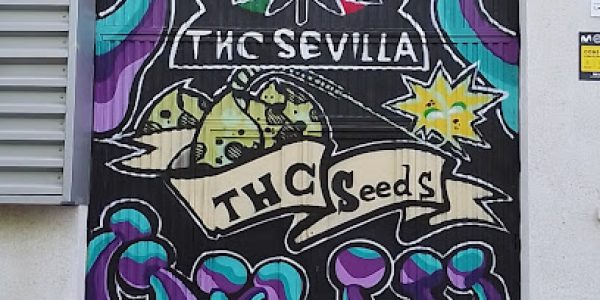 Thc Sevilla