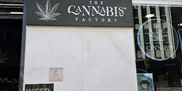 The Cannabis Factory