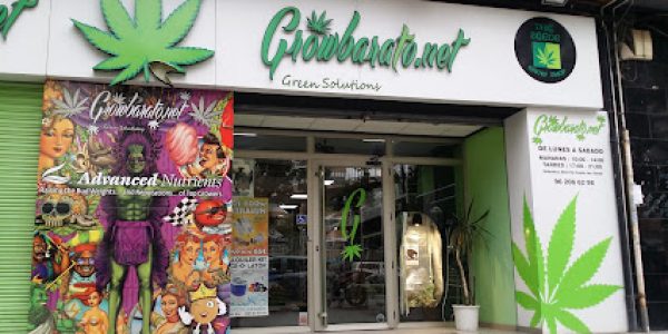 GB The Green Brand | GrowBarato.net GB The Green Brand | GrowBarato.net