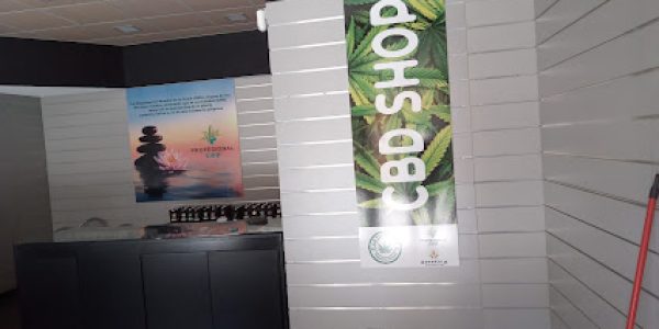 La Tía María La Tía María