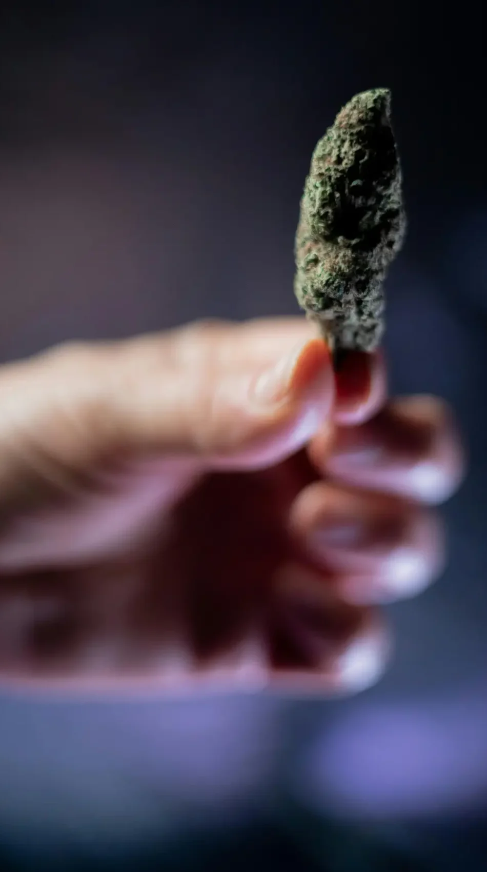 weed las palmas de gran canaria